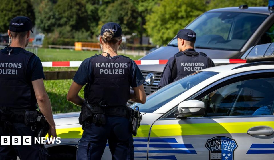 Manhunt after shooting at Swiss rave kills woman, 22, and injures five