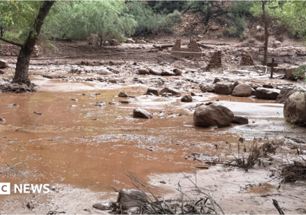 One dead and several missing after 'terrifying' flash flooding hits Grand Canyon
