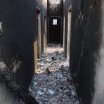 Algeria wildfire death toll expected to rise as survivors say nothing left