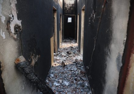 Algeria wildfire death toll expected to rise as survivors say nothing left