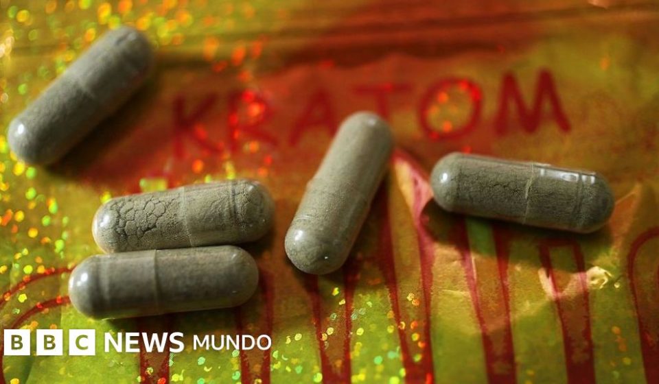 ¿Qué es el kratom, la "heroína de las gasolineras" que causa alarma entre las autoridades en EE.UU.?