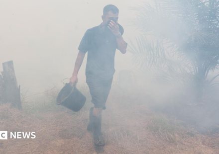 Watch: How toxic smog from wildfires is making Indonesians sick