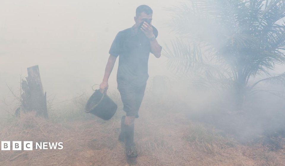 Watch: How toxic smog from wildfires is making Indonesians sick