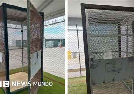 Las jaulas en las que eran encerrados los migrantes en el "Alcatraz de los caimanes" de Florida