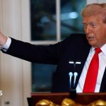 Trump says his planned triumphal arch will double as a military complex to store ammunition