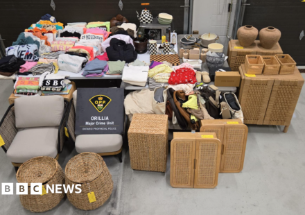 Woman charged with stealing from patients and staff at hospitals across Ontario