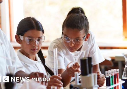 5 datos cruciales sobre el estado de la educación en América Latina que revela la última prueba PISA
