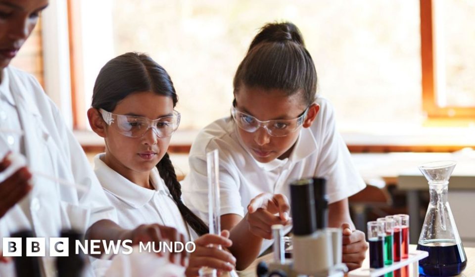 5 datos cruciales sobre el estado de la educación en América Latina que revela la última prueba PISA