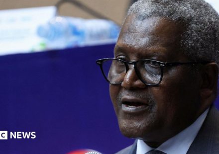 Africa's richest man launches continent's biggest share sale