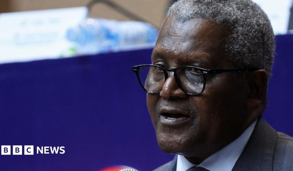 Africa's richest man launches continent's biggest share sale