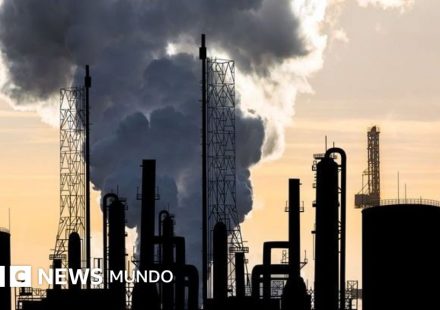 "Nos preguntamos cómo reducir nuestra huella de carbono en casa, cuando las petroleras producen un impacto inconmensurablemente mayor"