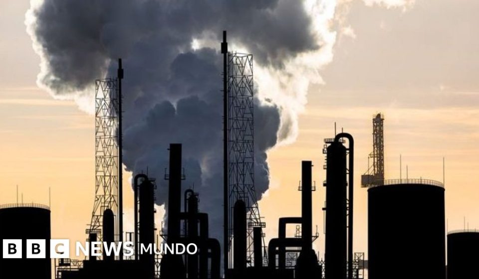 "Nos preguntamos cómo reducir nuestra huella de carbono en casa, cuando las petroleras producen un impacto inconmensurablemente mayor"