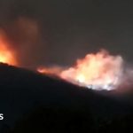 Bulgaria investigates fire at weapons  site that owner calls sabotage