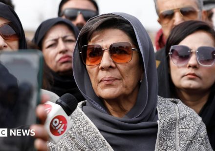 Sister of Pakistan's ex-PM Imran Khan arrested