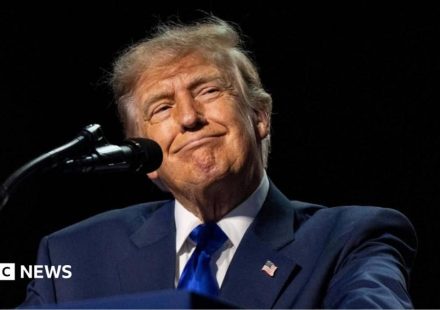 Can Trump really pay $5,000 to every American adult?
