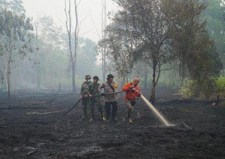 Scientists warn super El Nino could cause 450,000 deaths: Should we worry?