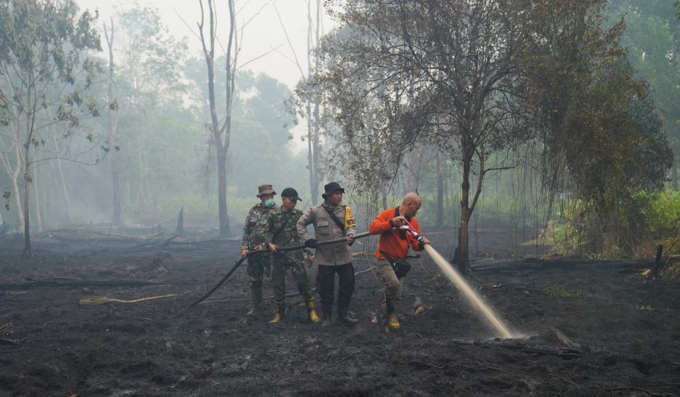 Scientists warn super El Nino could cause 450,000 deaths: Should we worry?
