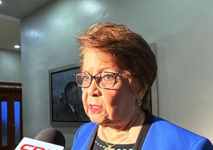 Alejandrina Germán: Consulta Ciudadana del PLD se desarrolla con transparencia y tranquilidad