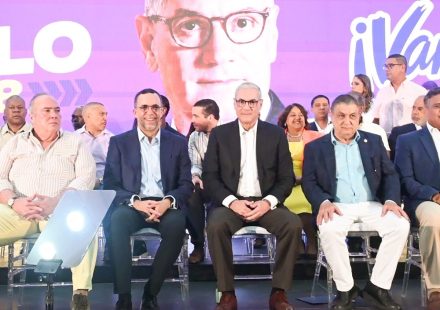 (VIDEO) Aseguran 775 miembros del CC y 66.7 % de los alcaldes del PLD respaldan a Gonzalo Castillo
