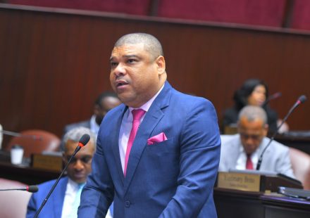 Diputado Raposo cuestiona gestión del Gobierno en seguridad ciudadana