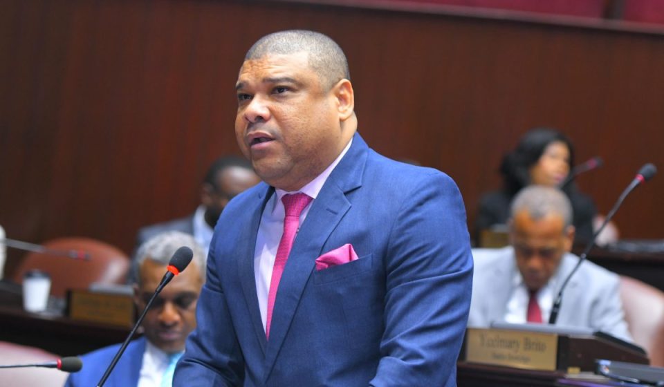 Diputado Raposo cuestiona gestión del Gobierno en seguridad ciudadana