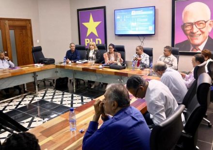El PLD define la numeración de sus cinco aspirantes presidenciales en la boleta