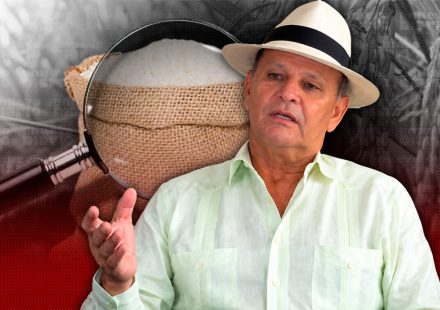 Exsenador Félix Vásquez pide proteger producción de arroz en RD para preservar la seguridad alimentaria