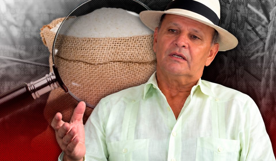 Exsenador Félix Vásquez pide proteger producción de arroz en RD para preservar la seguridad alimentaria