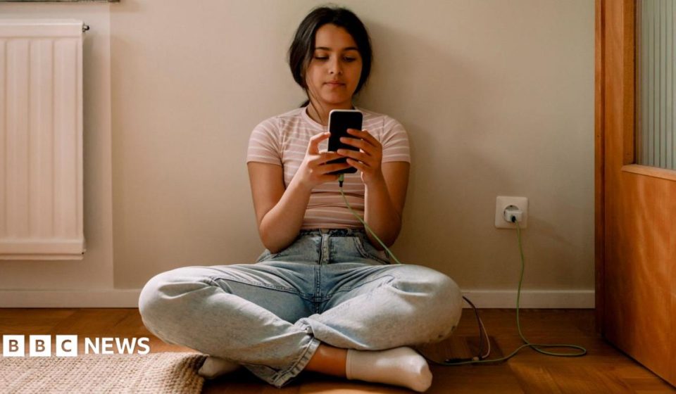 EU announces plan to restrict social media access for under-15s