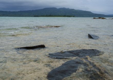 One dead, more than 30 missing after Vanuatu ferry sinks, PM’s office says