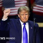 ¿Es la promesa de Trump de pagar US$5.000 a los votantes de EE.UU. una señal de pánico?