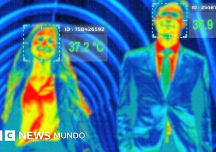 Por qué tenemos sangre caliente y qué ventajas tiene sobre la sangre fría
