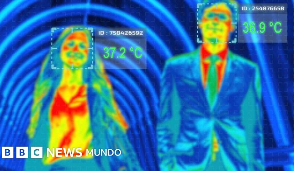 Por qué tenemos sangre caliente y qué ventajas tiene sobre la sangre fría