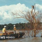 Mymba Kuéra: cómo fue el monumental rescate de más de 30.000 animales cuando Paraguay y Brasil construyeron la represa de Itaipú
