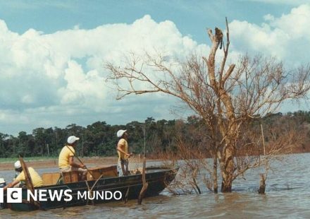 Mymba Kuéra: cómo fue el monumental rescate de más de 30.000 animales cuando Paraguay y Brasil construyeron la represa de Itaipú