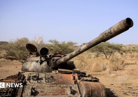 Seven Ethiopian rebel groups form new alliance