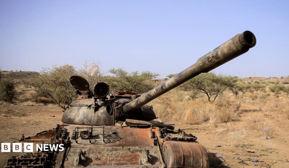 Seven Ethiopian rebel groups form new alliance