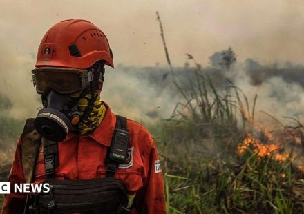 Toxic wildfire haze spreads across South East Asia as 'super' El Niño intensifies