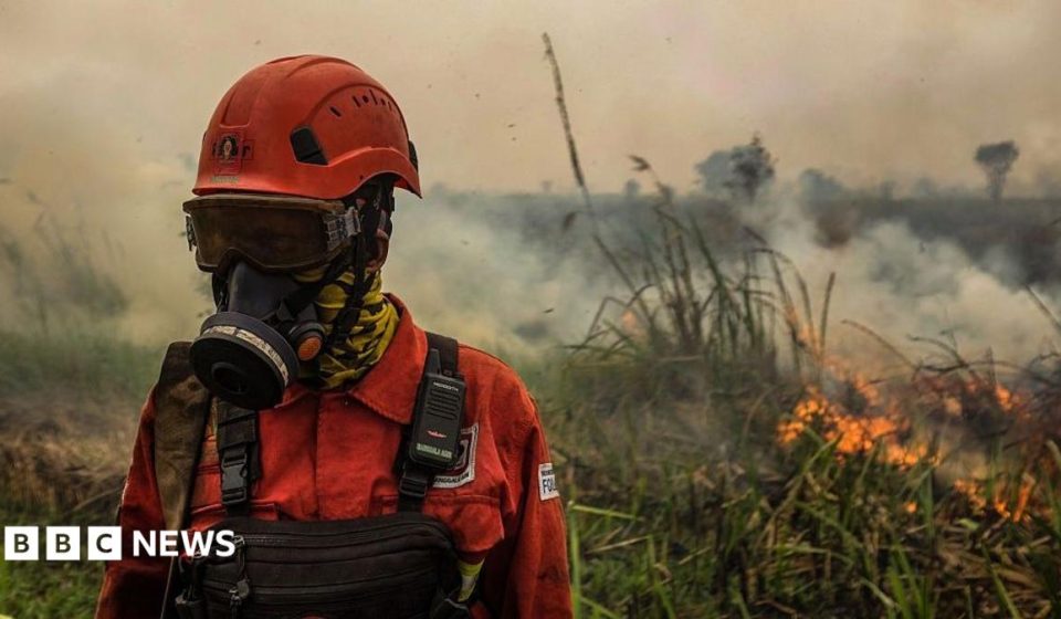 Toxic wildfire haze spreads across South East Asia as 'super' El Niño intensifies