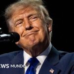 ¿Es legal que Trump prometa entregar US$5.000 a cada estadounidense si los republicanos ganan las elecciones de noviembre?