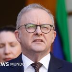 Australia denuncia que un agente de OpenAI hackeó un sitio web de su gobierno