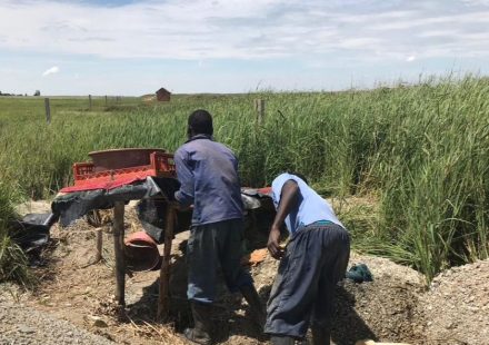 South Africa’s chrome riches fuel a deadly underground economy