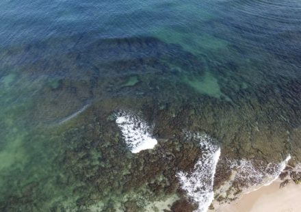 Did Israel’s destruction of Gaza worsen its water crisis?