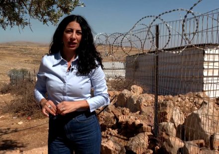 B’Tselem: Israeli settler violence aims to eliminate Palestinian existence