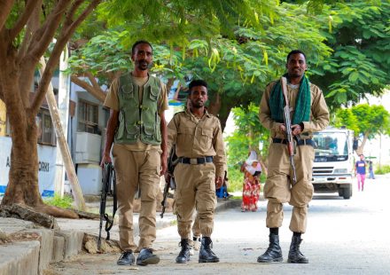 Ethiopian army says 272 Tigrayan fighters killed in Amhara