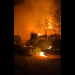 Forest fires force evacuations near resorts in Antalya