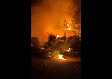 Forest fires force evacuations near resorts in Antalya