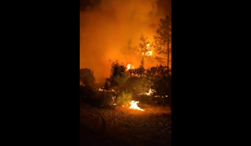 Forest fires force evacuations near resorts in Antalya