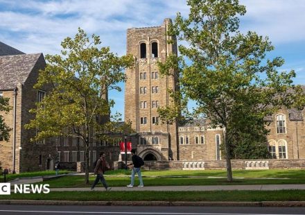 Cornell frat house rape accuser 'under siege' online, says lawyer