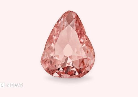 Rare pink diamond goes on display in France 100 years after amateur heist
